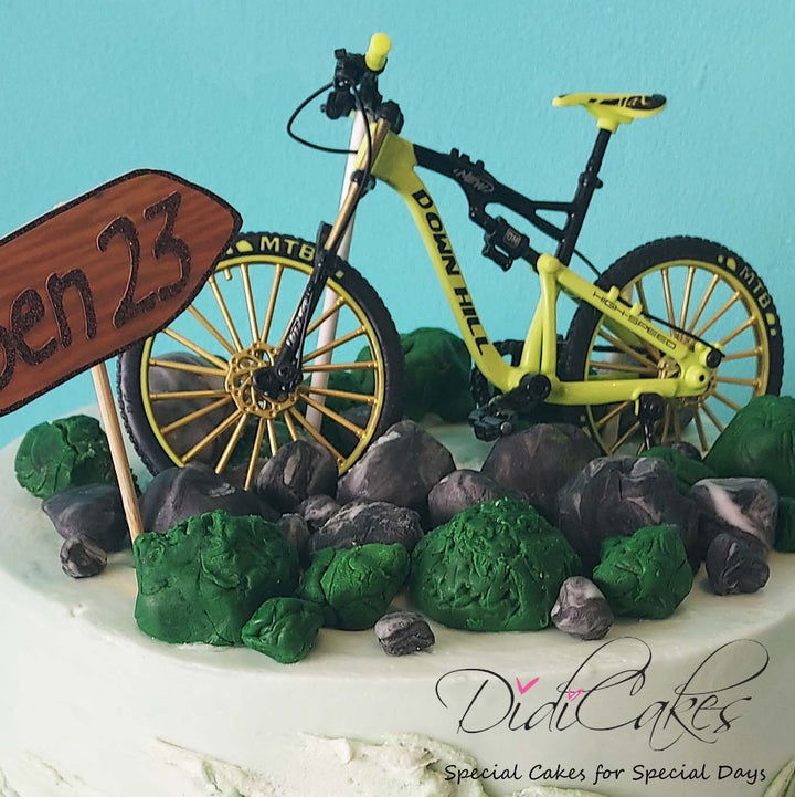 Mountain Bike Cake